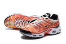 Air Max Plus TN 1 "Light Photography"