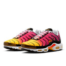 Air Max Plus TN 1 "Rainbow"