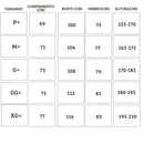 Conjunto Tracksuits Vasco