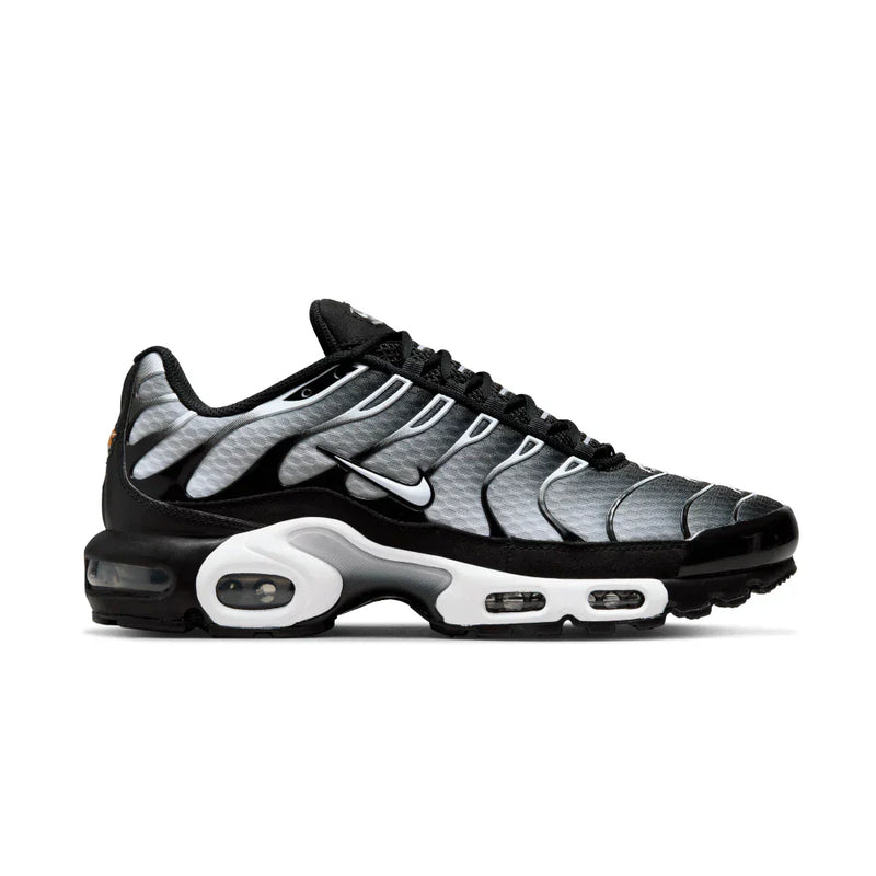Air Max Plus TN 1 "Black Metallic"